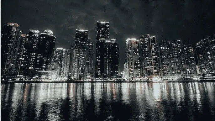 夏眠的海洋动物 - 城市之光：霓虹背后的人间烟火